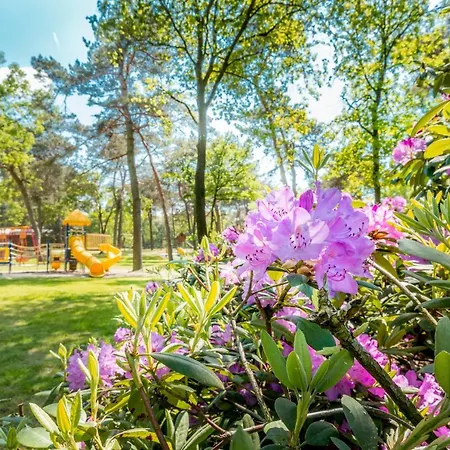 De Bergen Domek alpejski