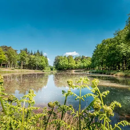 木屋 De Bergen Wanroij