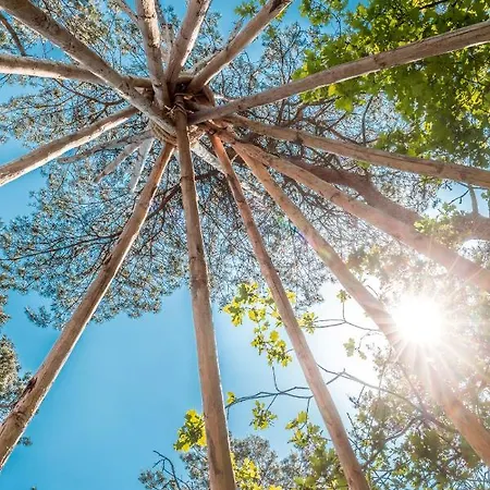 木屋 De Bergen Wanroij