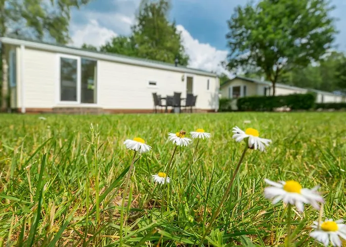 Σαλέ De Bergen *