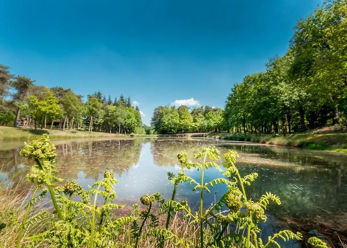 Σαλέ De Bergen Wanroij