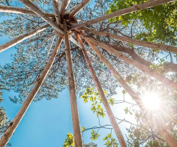 Σαλέ De Bergen Wanroij